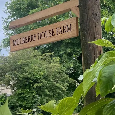 Mulberry House Farm Mulberry Lodge Chippenham  Exterior foto