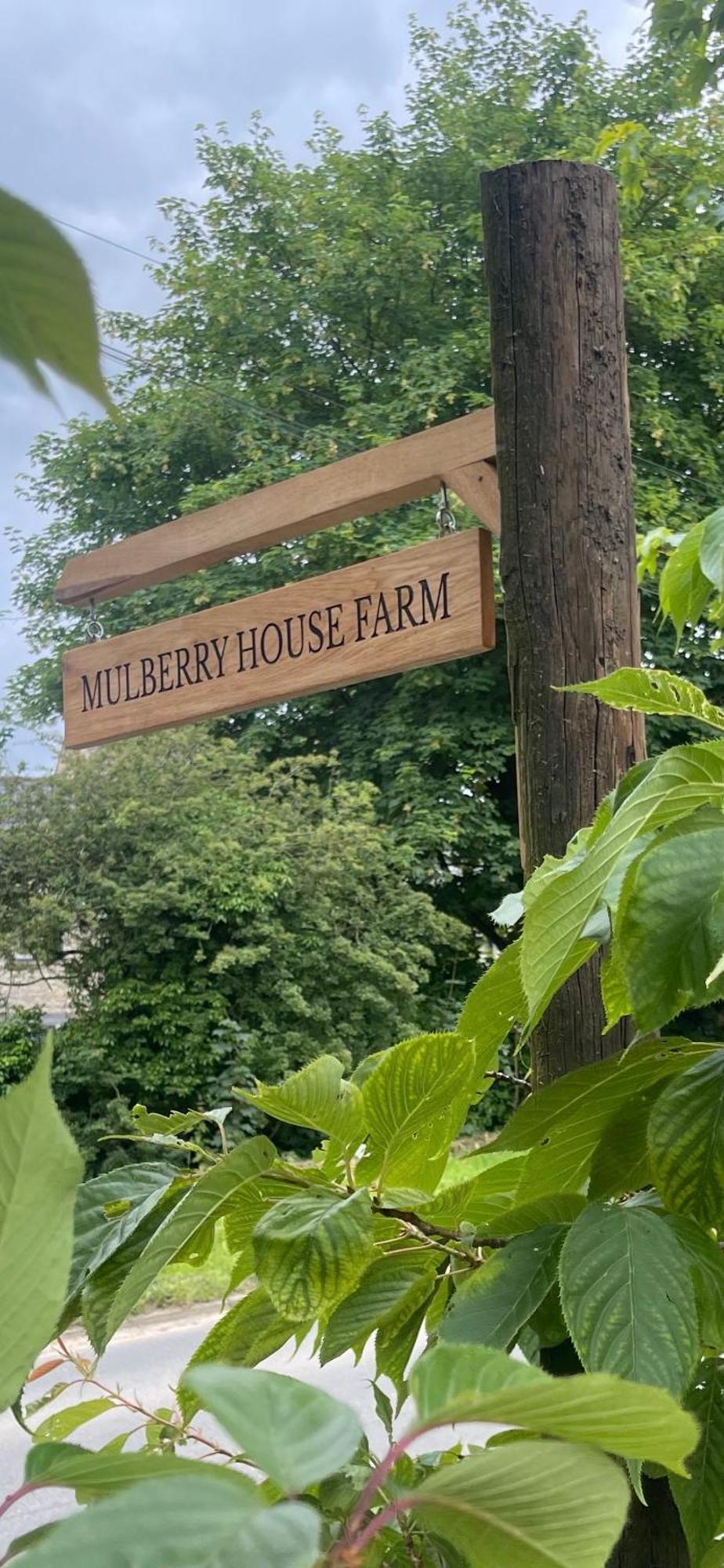 Farm stay Mulberry House Farm Mulberry Chippenham (Wiltshire)